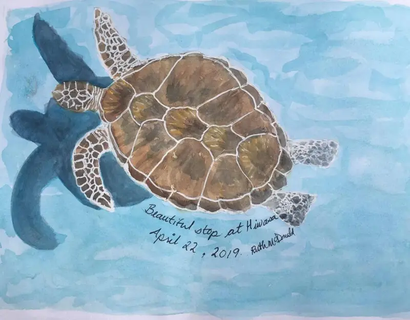 sea-turtles-sketch-map-2019-henro-shikoku-life-with-ruth-and-gord.webp