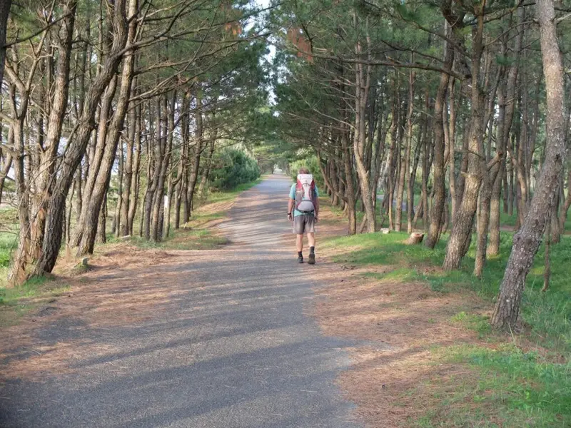 gord-shikoku-2019-henro-shikoku-life-with-ruth-and-gord.webp