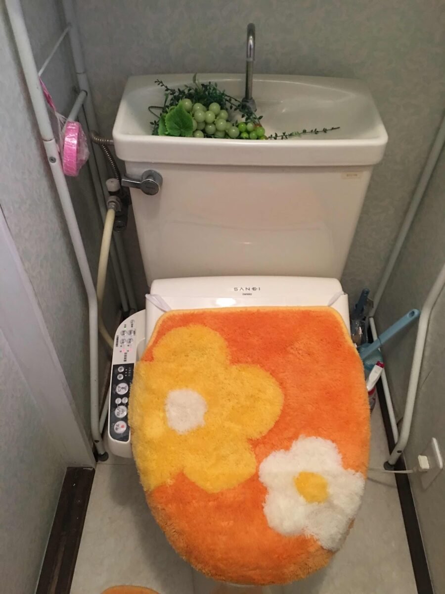 Japan: First Impressions