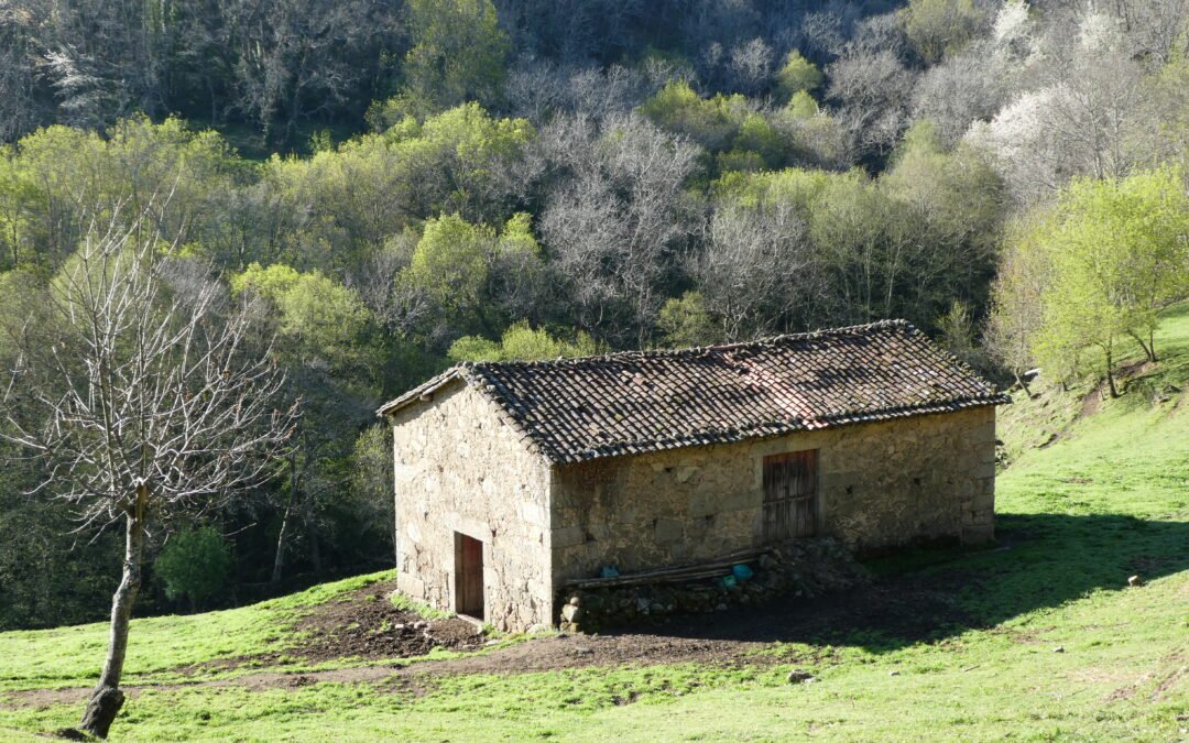 Climbing into the Sierra de Béjar