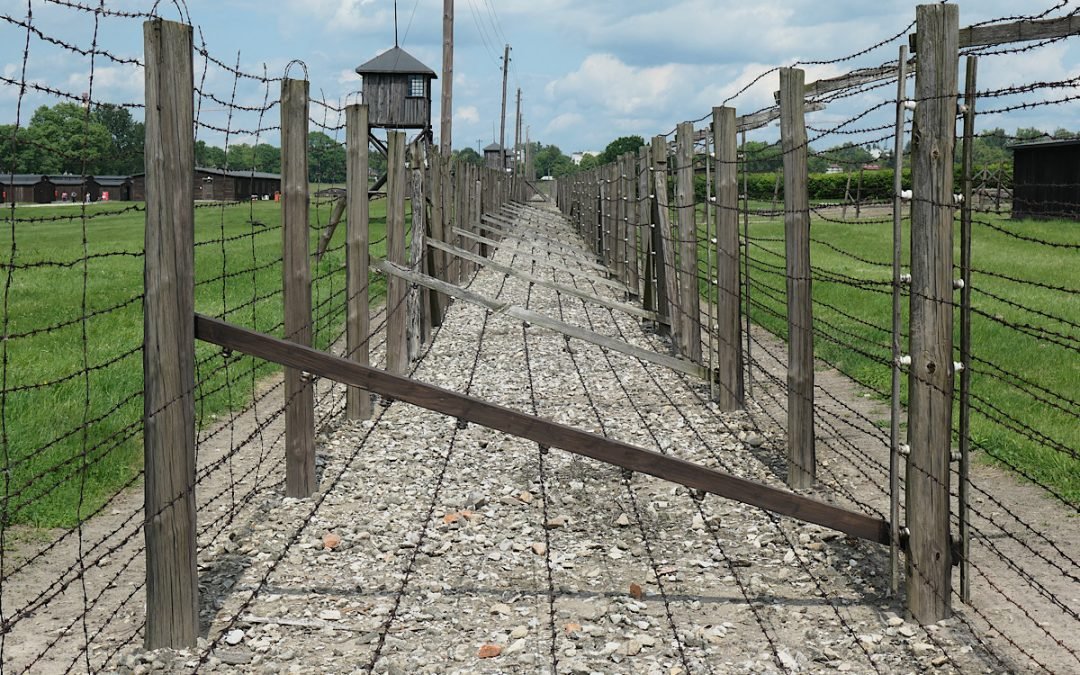 Majdanek & Lublin