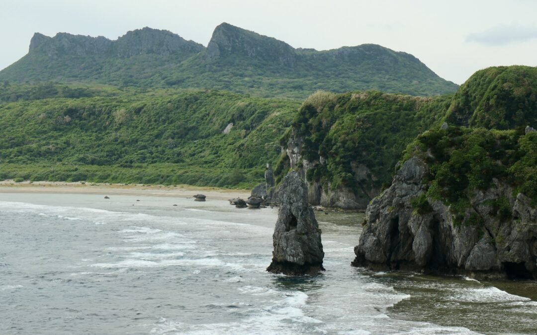 Yambaru National Park